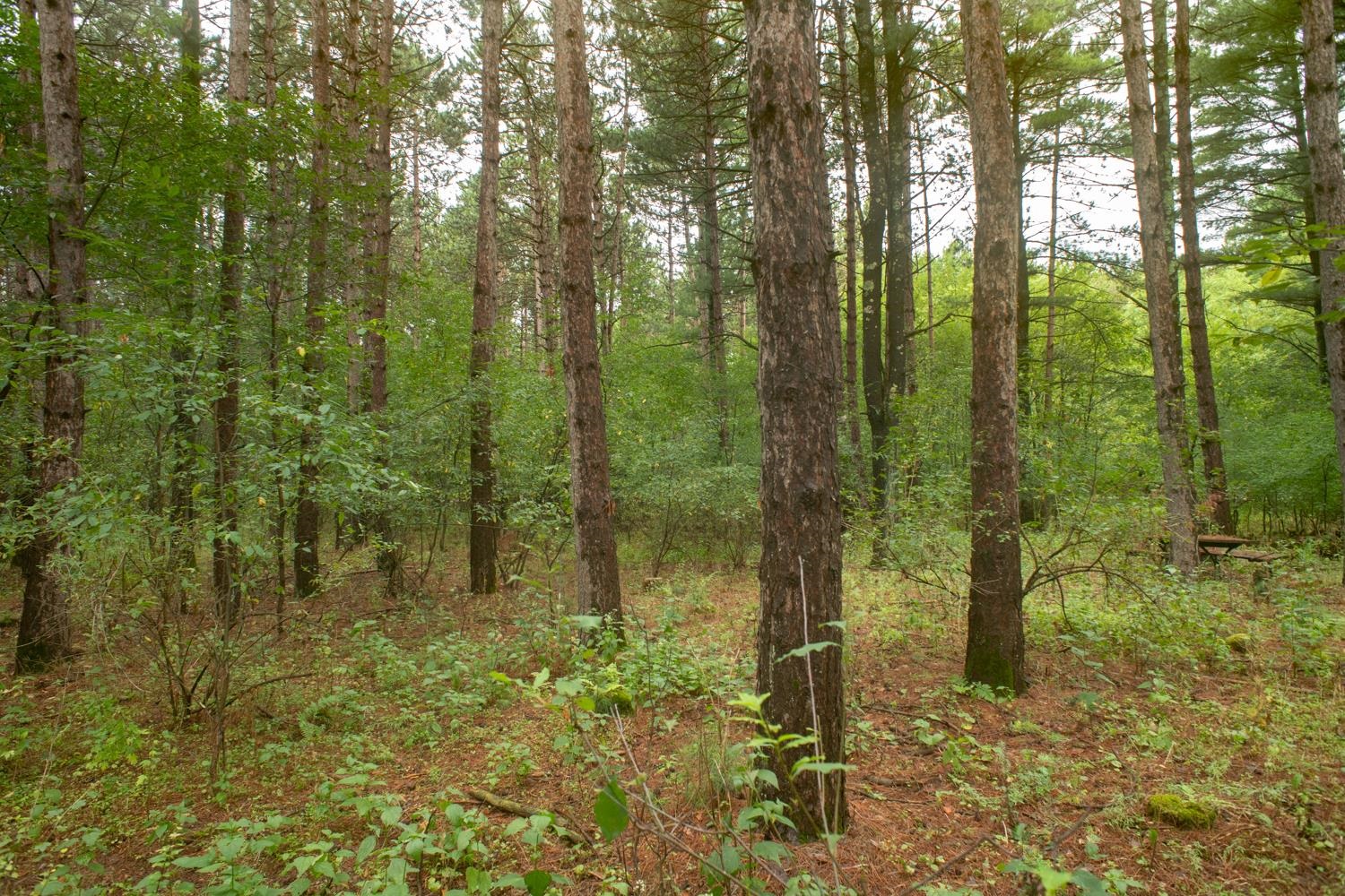 Deer Path, Unit 37 Hancock, WI 54943 - Photo 20 of 27 Gallery Image 20