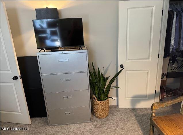 46 Charleston Circle Brandon, MS 39047 - Photo 15 of 25 Guest Bedroom (Downstairs).