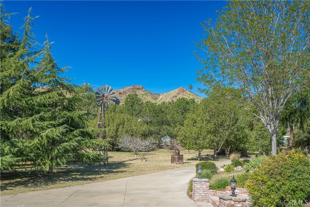 11340 Morgan Road Agua Dulce, CA 91390 - Photo 6 of 60