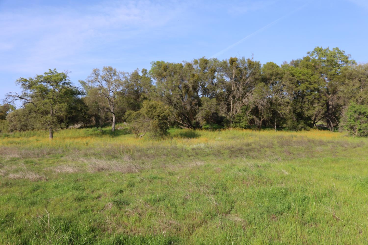 10 Douglas Road South Coarsegold, CA 93614 - Photo 3 of 29 Gallery Image 3