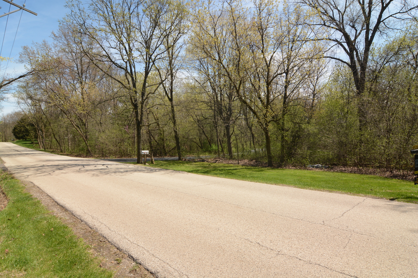21665 West Boschome Road Kildeer, IL 60047 - Photo 2 of 3 a view of a house with a yard and large trees