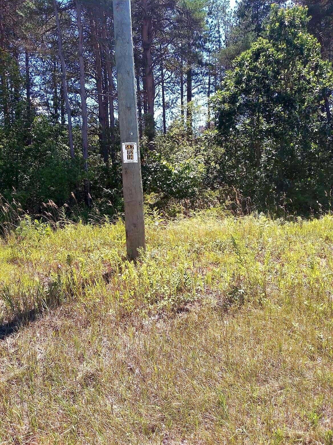 0 West Hazel Road Mears, MI 49436 - Photo 2 of 11 299669796_575811230920904_78472779828432