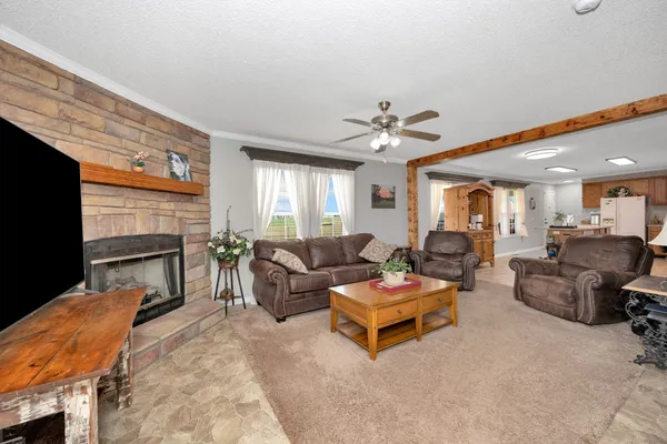 a living room with furniture and a fireplace