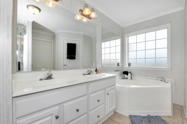 a bathroom with a sink a large mirror and a bathtub
