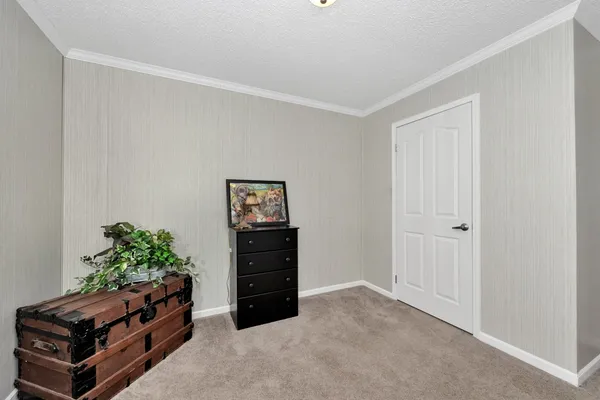 a room with furniture and a potted plant