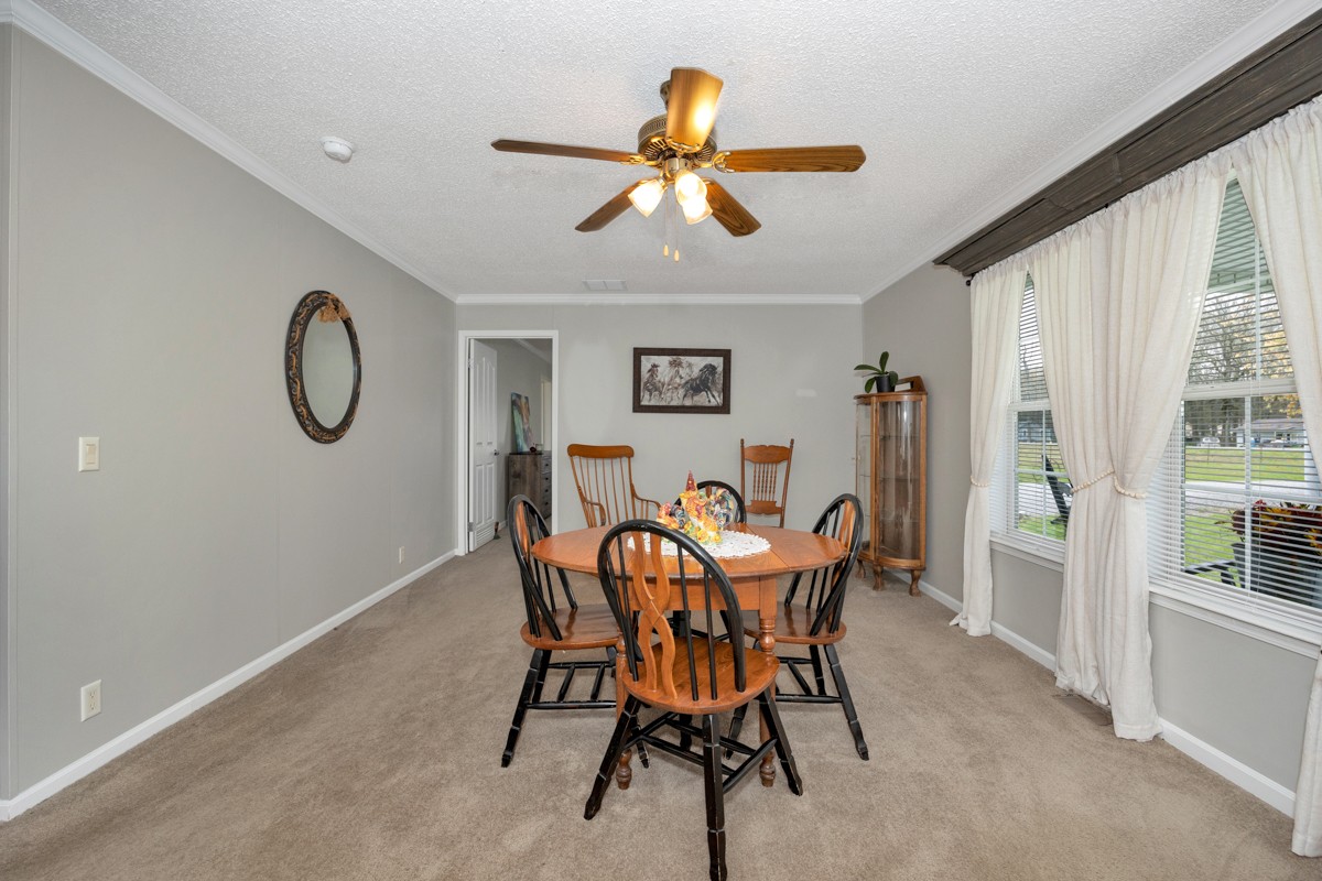 325 Stevenson Road Ardmore, TN 38449 - Photo 4 of 50