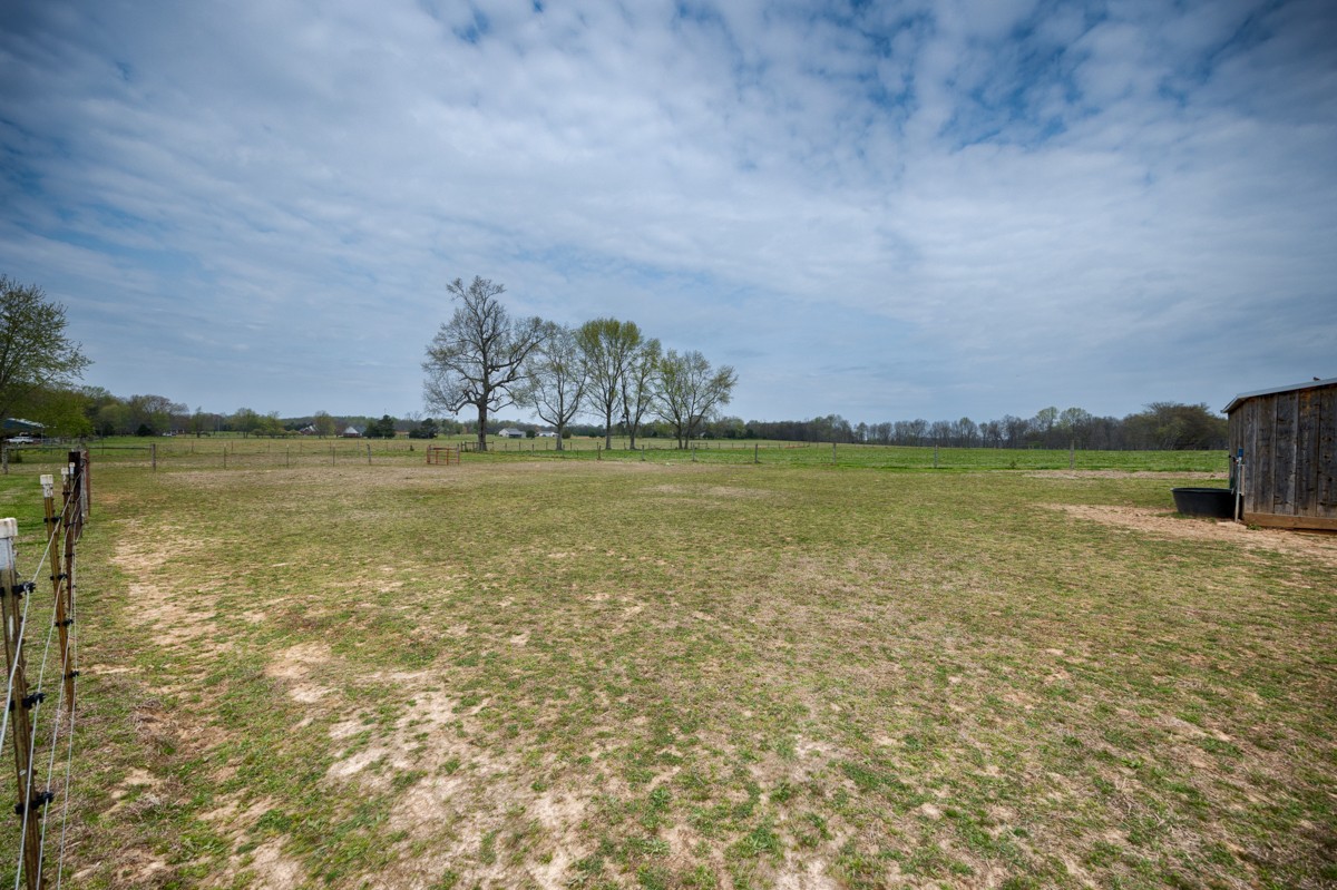 325 Stevenson Road Ardmore, TN 38449 - Photo 42 of 50