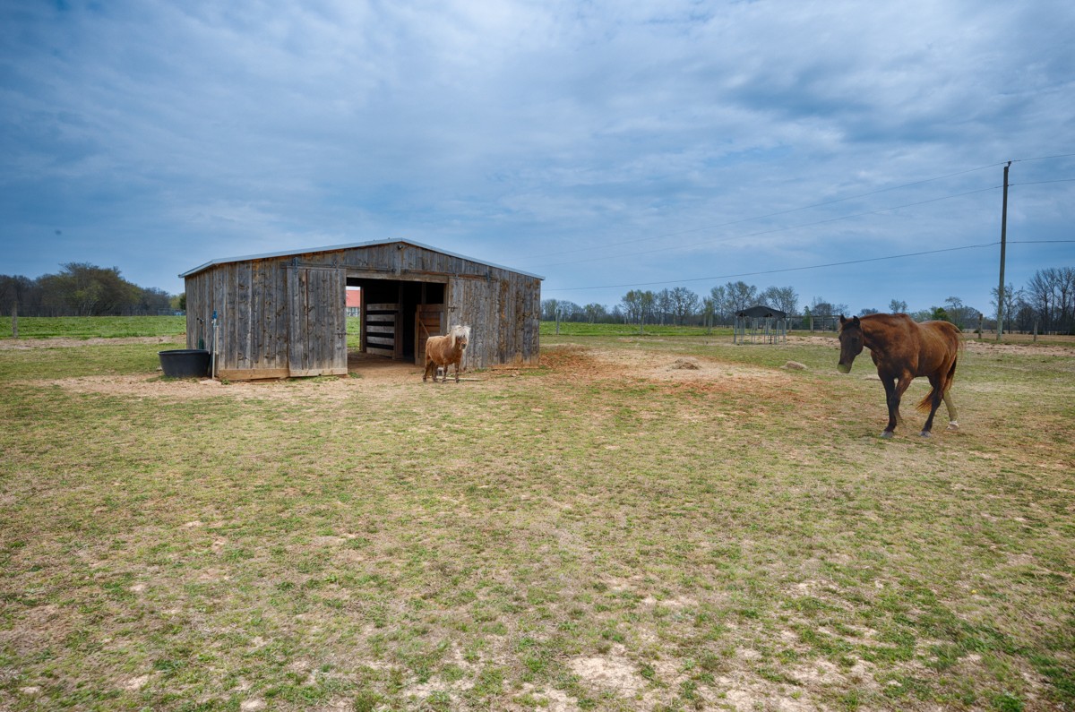 325 Stevenson Road Ardmore, TN 38449 - Photo 43 of 50