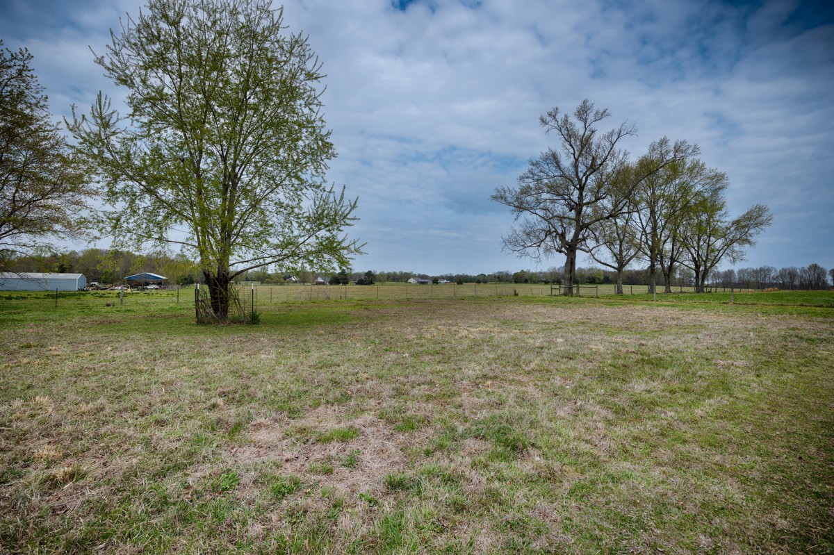 325 Stevenson Road Ardmore, TN 38449 - Photo 44 of 50