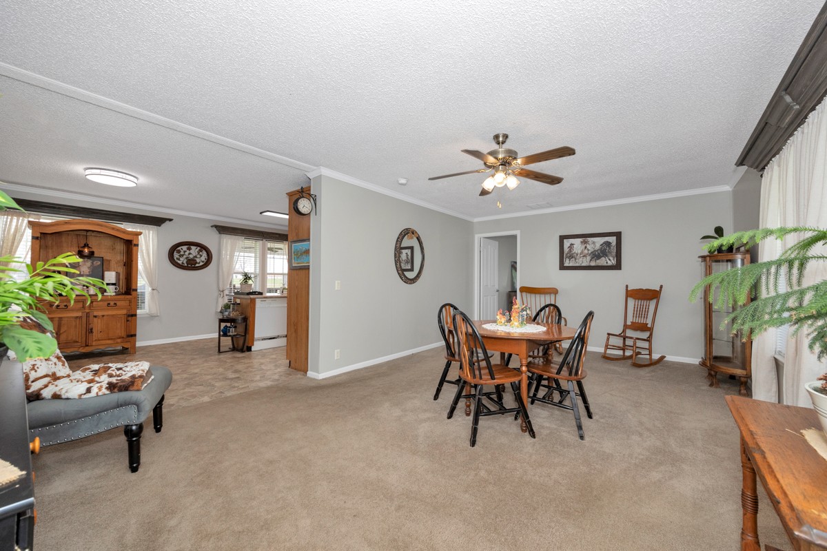 325 Stevenson Road Ardmore, TN 38449 - Photo 6 of 50