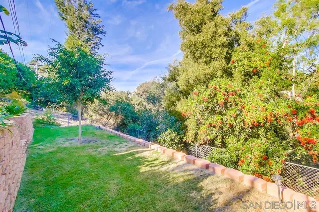 a view of a yard with an tree