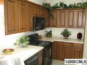 138 Ridge Bluff Road, Unit 138 Mooresville, NC 28115 - Photo 2 of 8 Gallery Image 2