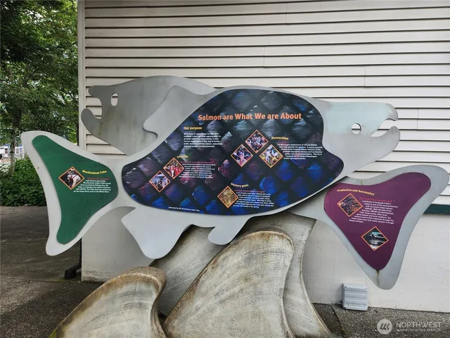 a view of a yard with plants and a bench under an umbrella