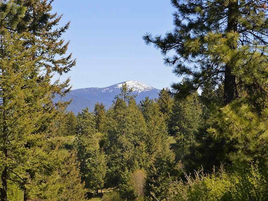 15713 East Ridgecrest Lane Mead, WA 99021 - Photo 20 of 20