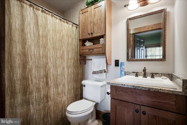 a view of a lush green forest with trees and some houses