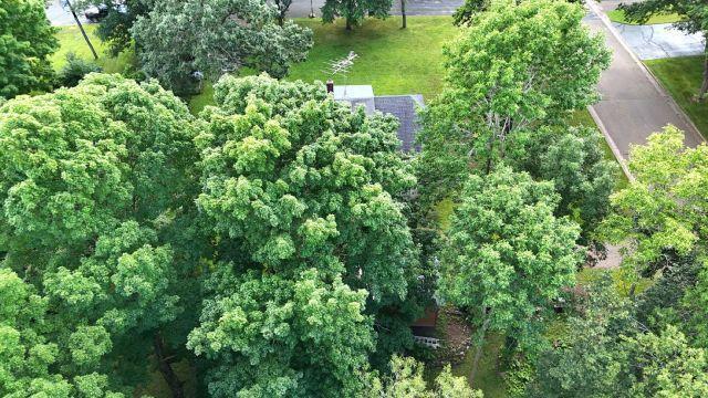 202 2nd Avenue North Frederic, WI 54837 - Photo 34 of 57