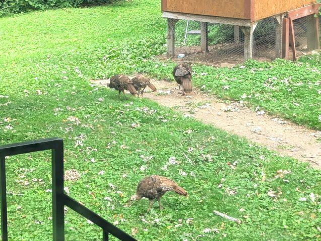 202 2nd Avenue North Frederic, WI 54837 - Photo 49 of 57