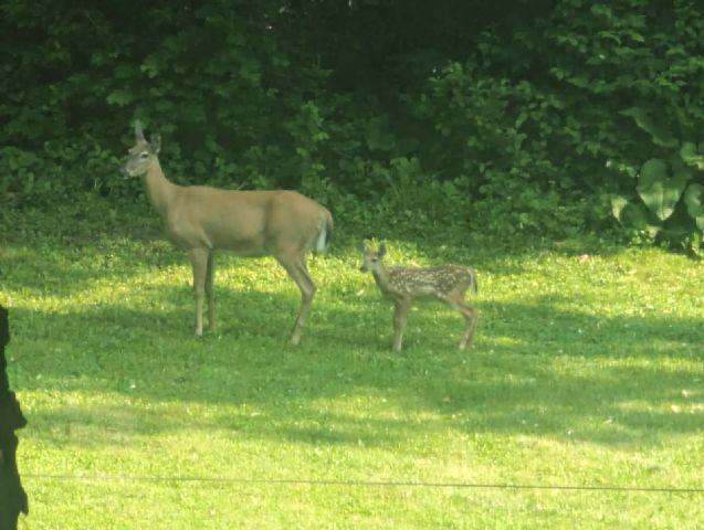 202 2nd Avenue North Frederic, WI 54837 - Photo 51 of 57
