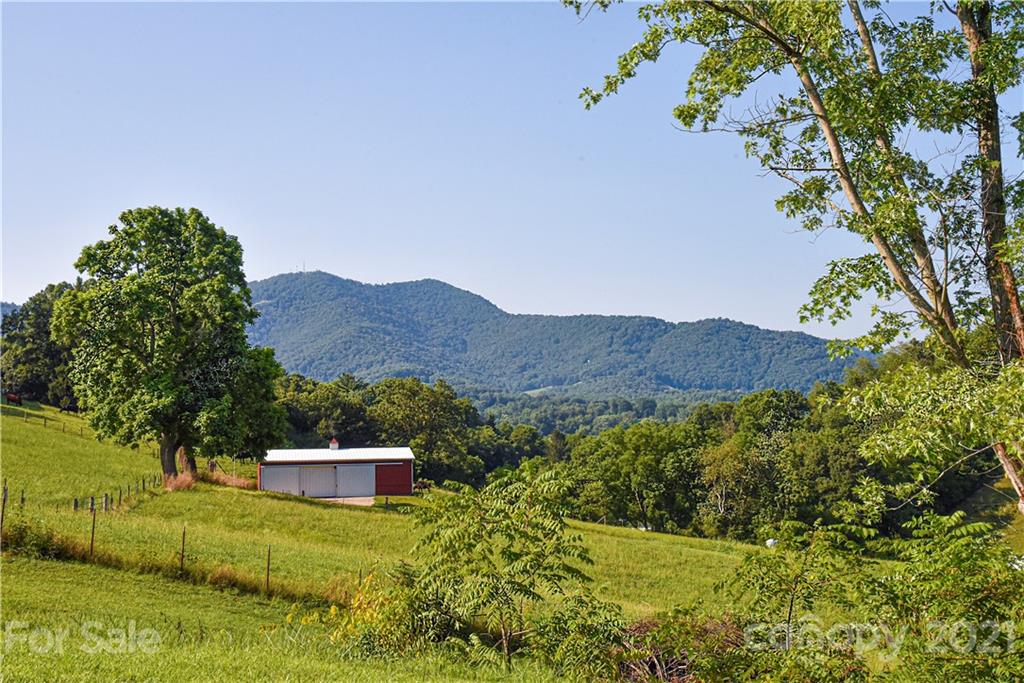 699 Pleasant Hill Road Clyde, NC 28721 - Photo 4 of 32 a view of house with a yard