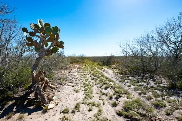 $1,825,918 | Tbd Cr 325, Freer, TX 78357
