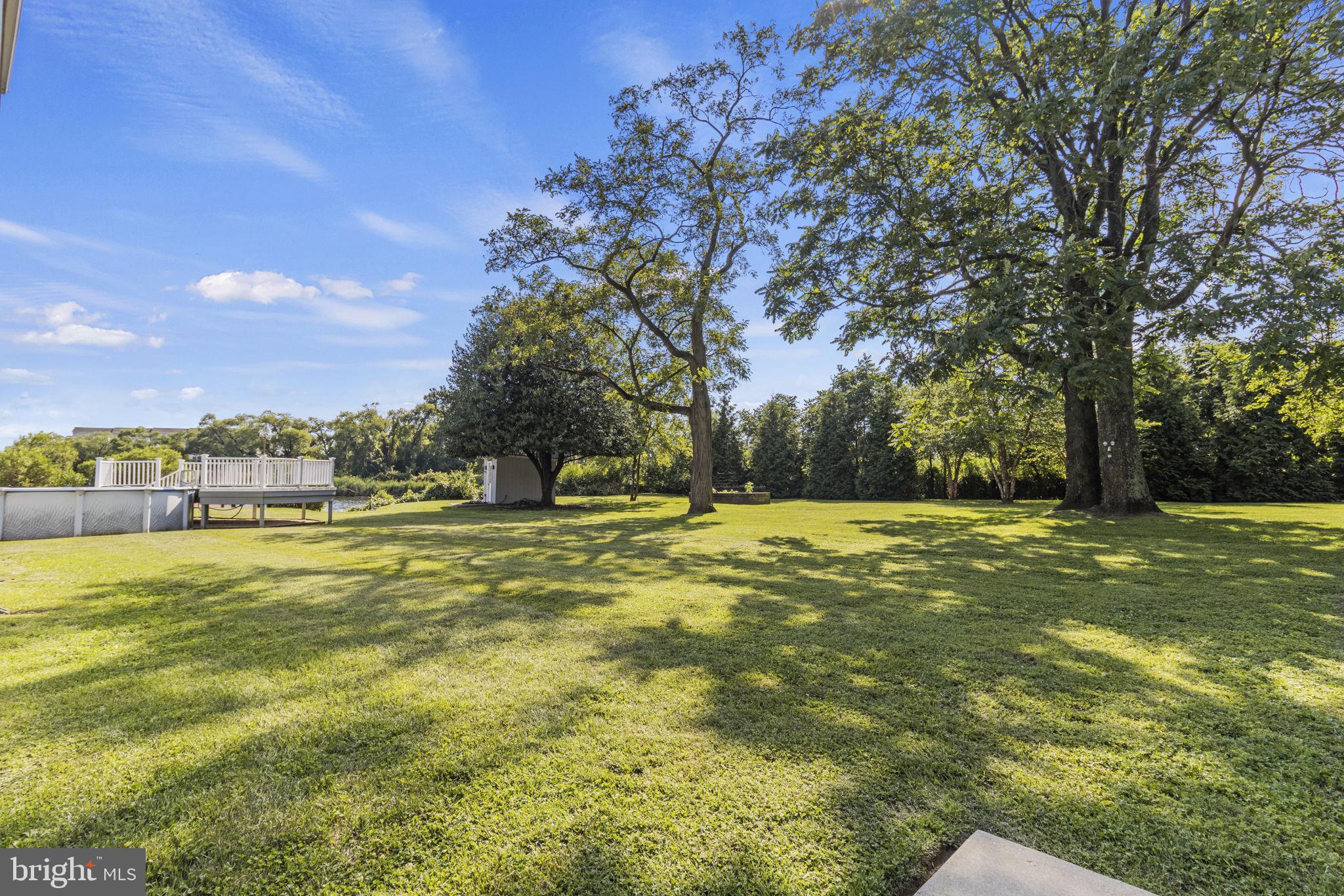 8646 Sandy Plains Road Dundalk, MD 21222 - Photo 29 of 38 a view of yard with swimming pool and trees