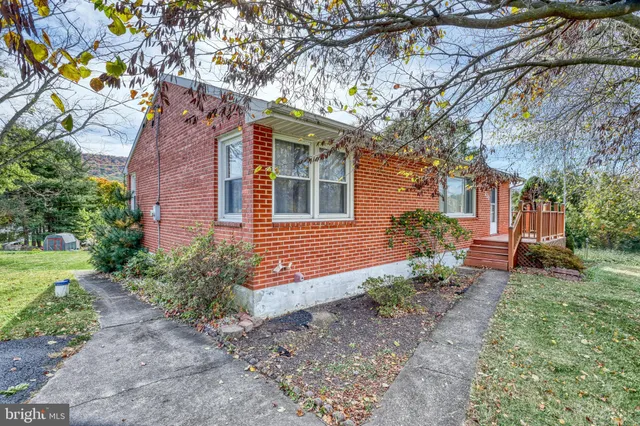 a backyard of a house with plants and large tree