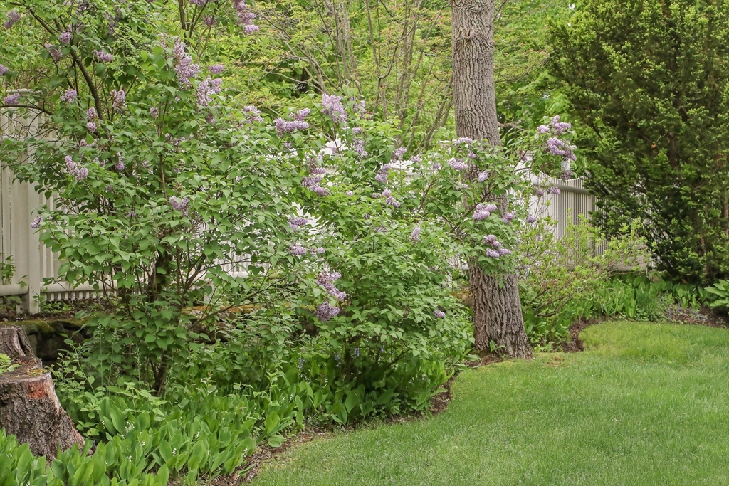 135 Academy Road North Andover, MA 01845 - Photo 40 of 42 Gallery Image 40