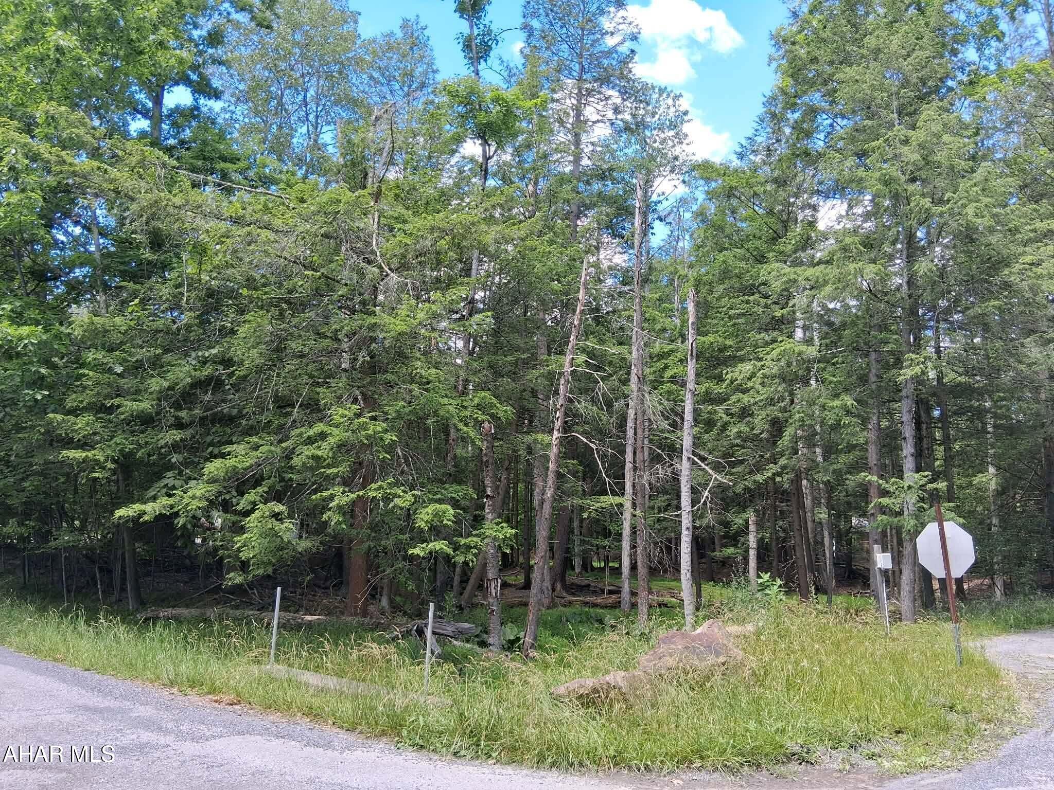 350 Kibler Lake Road Flinton, PA 16640 - Photo 2 of 13