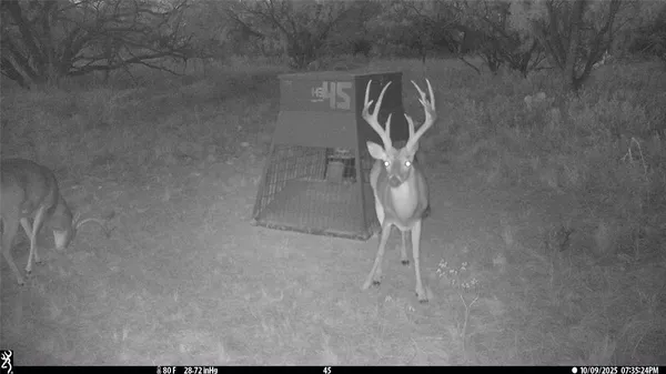 $324,000 | 291 Breckenridge Tx 76464, Moran, TX 76464