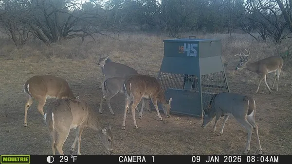 a view of a lake with sunset