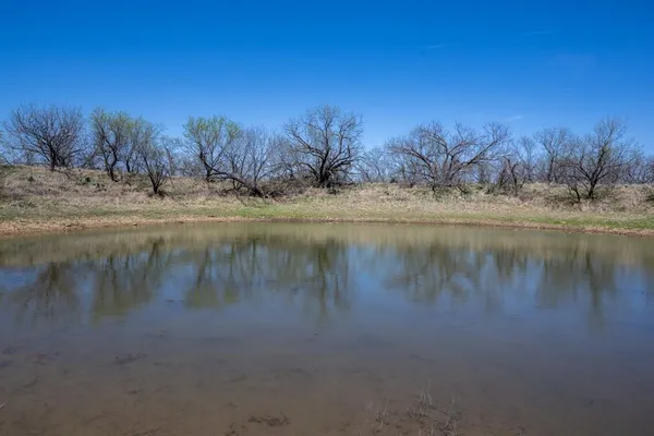 a view of fire pit with large trees