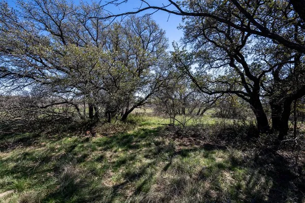 a view of a back yard