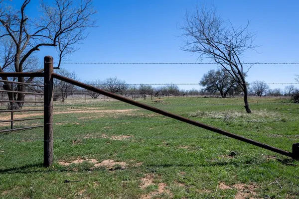 a view of a fire pit with large trees