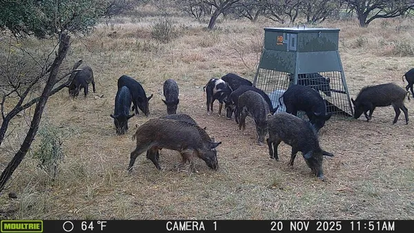 $324,000 | 291 Breckenridge Tx 76464, Moran, TX 76464