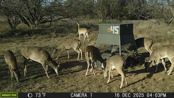 a view of outdoor space