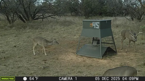 a view of outdoor space yard and patio