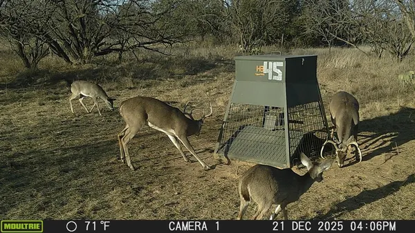 a view of outdoor space