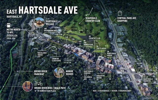 a aerial view of a bunch of trees