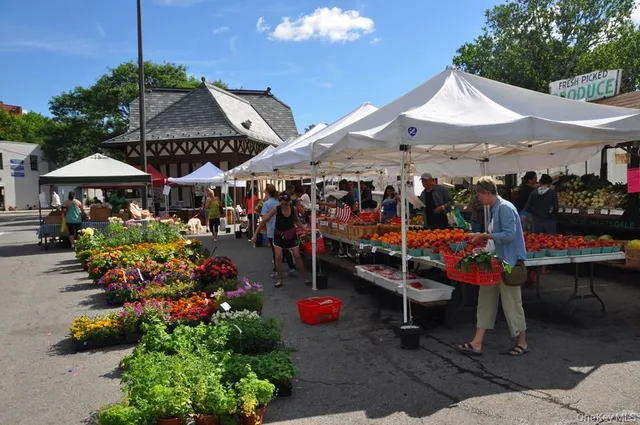 an outdoor space with lots of fruit and vegetables