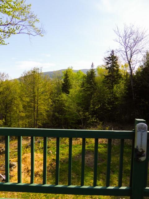 44 Mountain Road Stratton, ME 04982 - Photo 9 of 31 Deck View