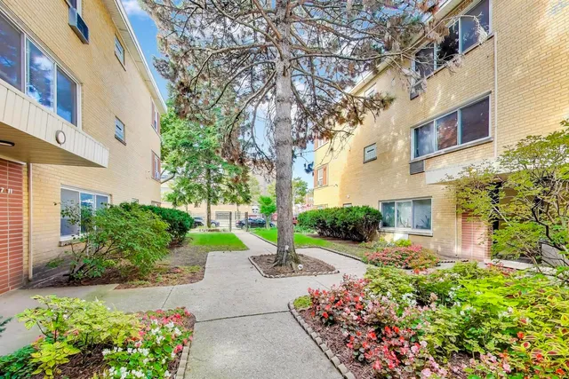 a view of flower garden with flower plants