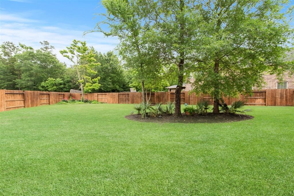 8323 Floating Heart Court Conroe, TX 77385 - Photo 41 of 43 a view of a house with backyard and a tree