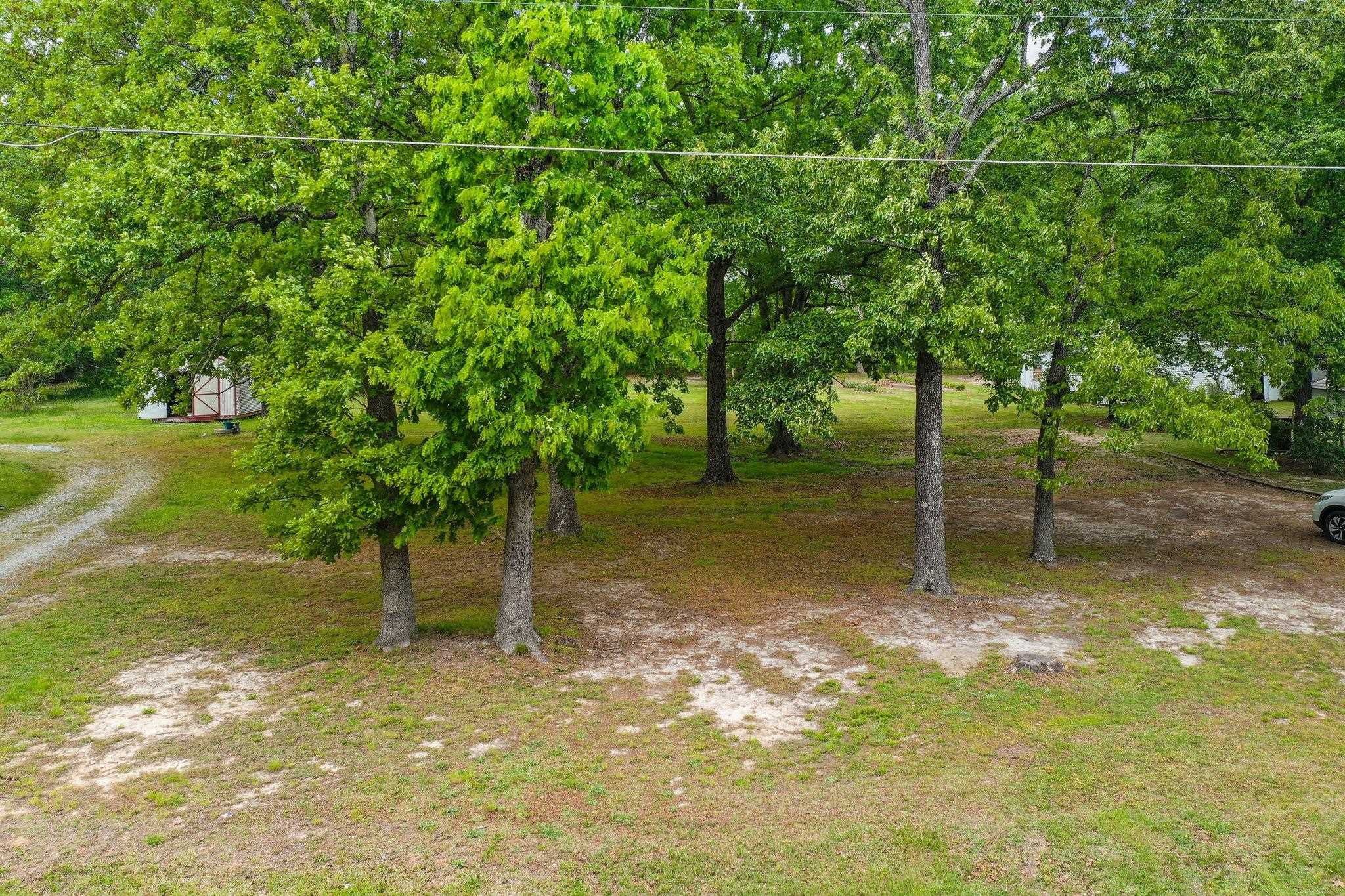 Patterson Drive Roxboro, NC 27573 - Photo 4 of 9 Photo 4
