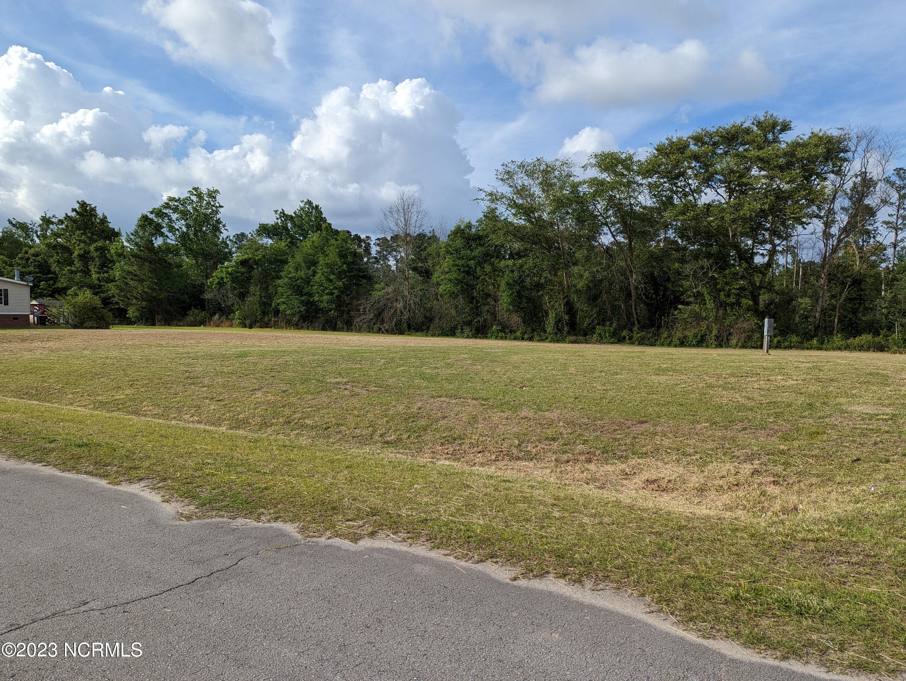 4045 Brandon Road Grifton, NC 28530 - Photo 5 of 11 PXL_20230601_215932092