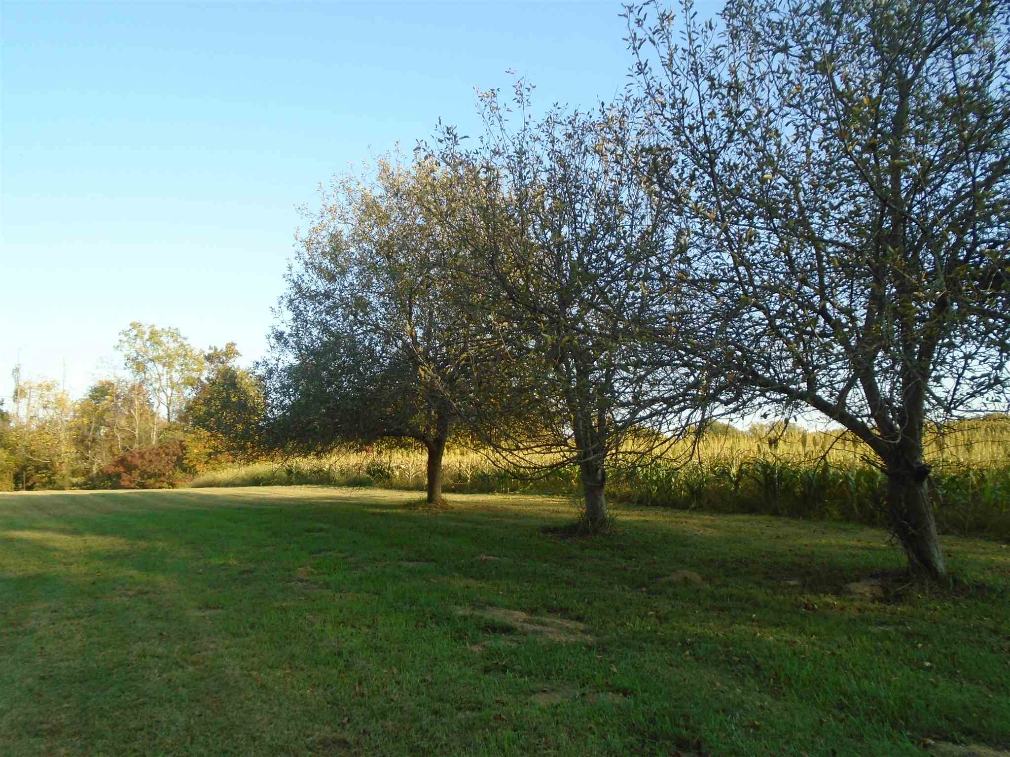 4974 Butler Ridge Road Shoals, IN 47581 - Photo 28 of 30