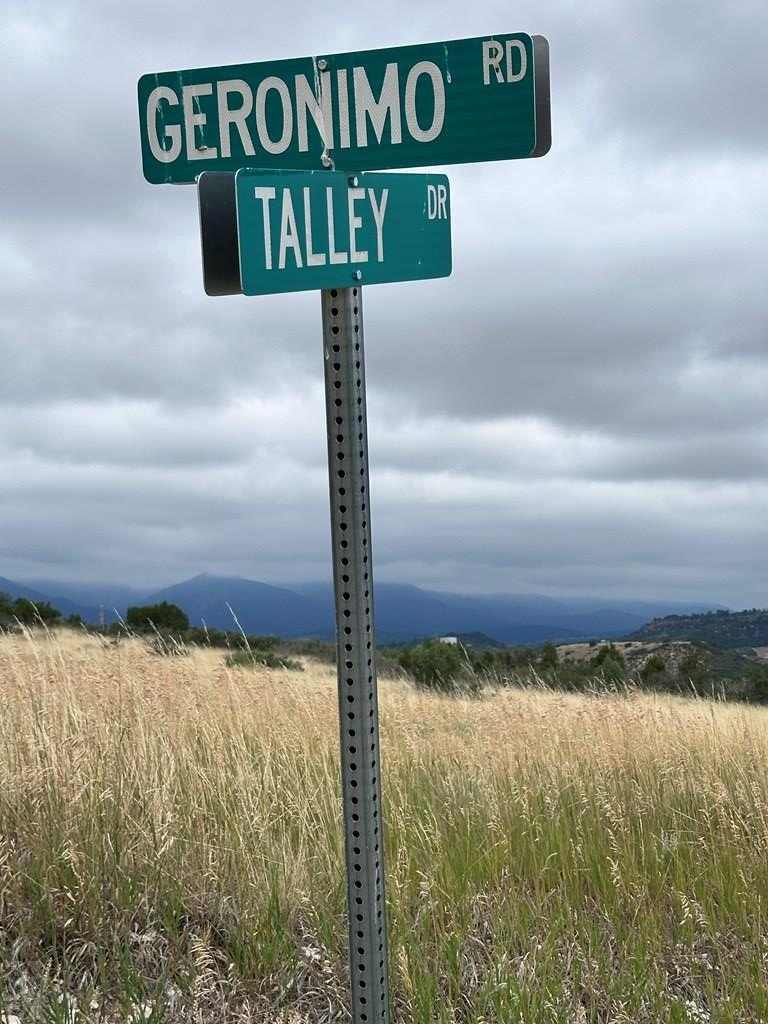 Lot 674 Geronimo Road Colorado City, CO 81019 - Photo 3 of 10 Gallery Image 3