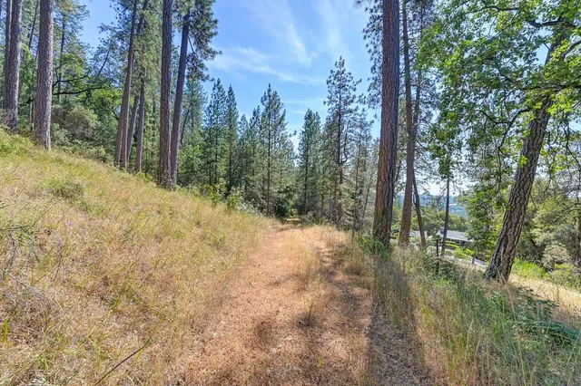 a view of lake with green space