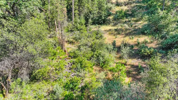 a view of a lush green field with lots of bushes