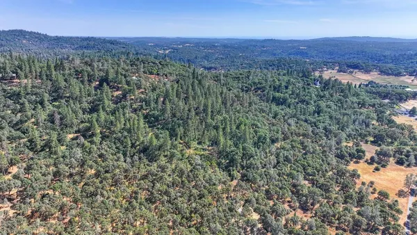 a view of a lush green forest with lots of trees