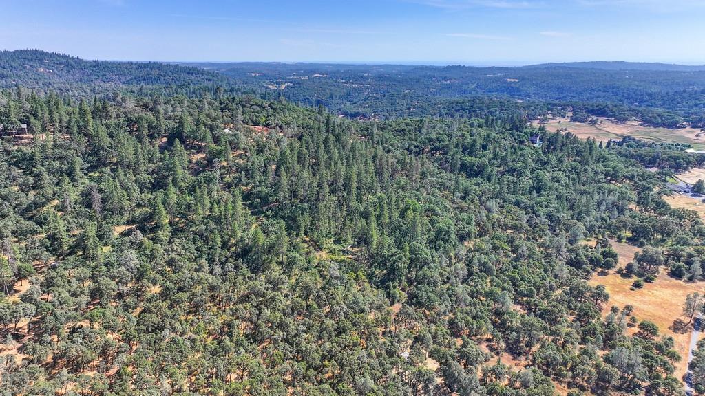 24316 Timber Ridge Drive Auburn, CA 95602 - Photo 19 of 30 a view of a lush green field with lots of bushes